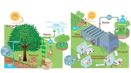 廚房革命:污染、浪費大作戰