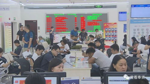 改革開放40周年丨一流的營(yíng)商環(huán)境 助力奉賢成為投資熱土 投資咨詢服務(wù)